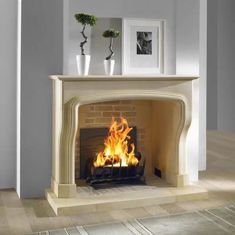 Cheminée classique en pierre avec feu de bois, plantes décoratives et cadre photo sur le manteau, ambiance chaleureuse.