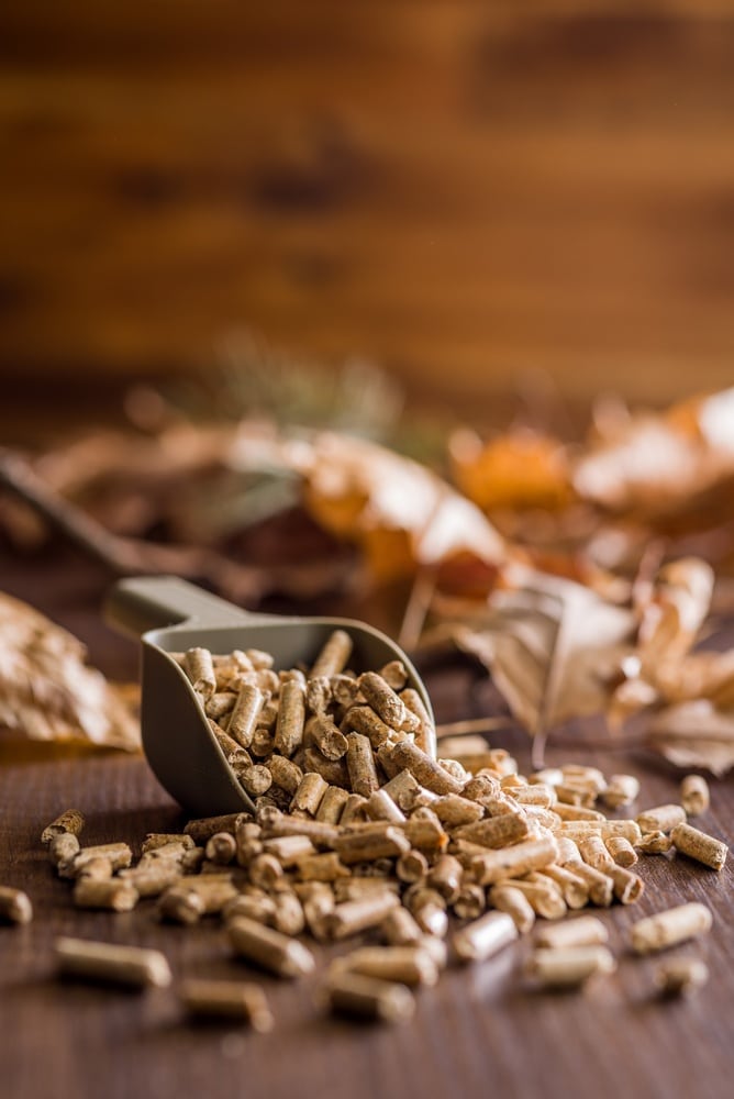 Granulés de bois pour chauffage écologique et durable Granulés de bois écologiques dans une pelle sur une table rustique avec des feuilles d'automne.