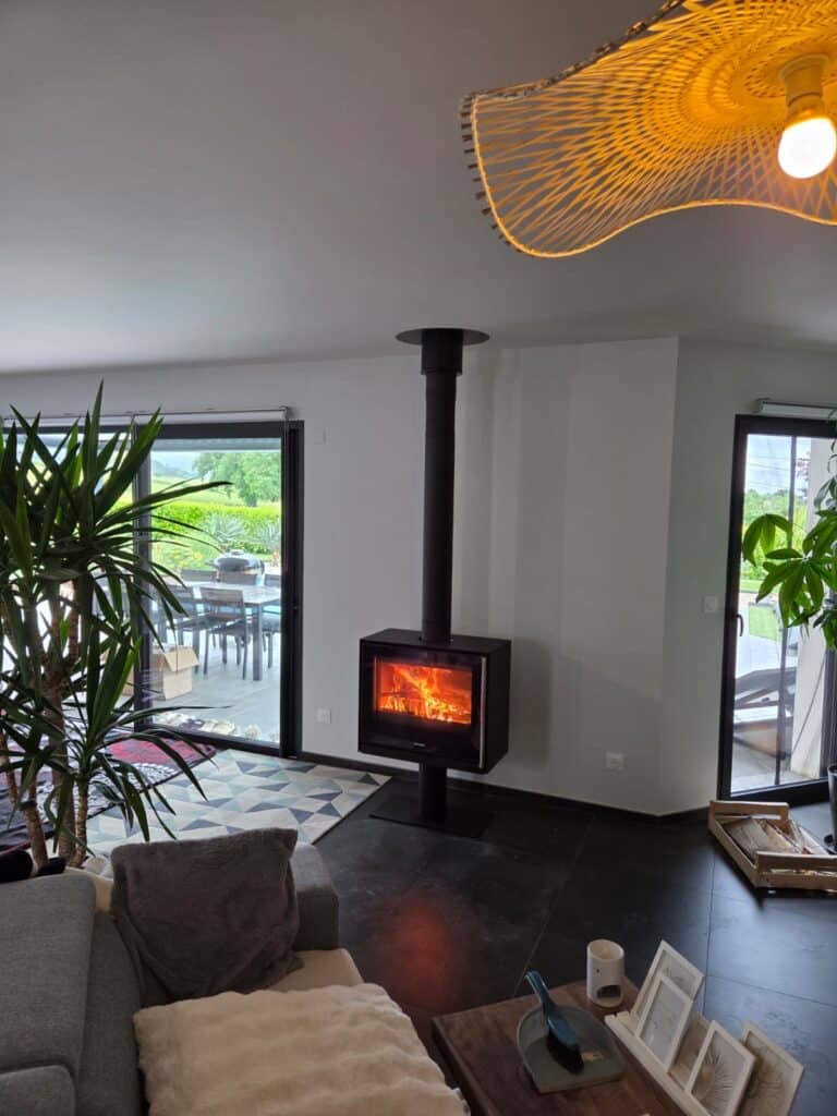 Poêle à bois allumé dans un salon moderne avec plantes et baies vitrées.